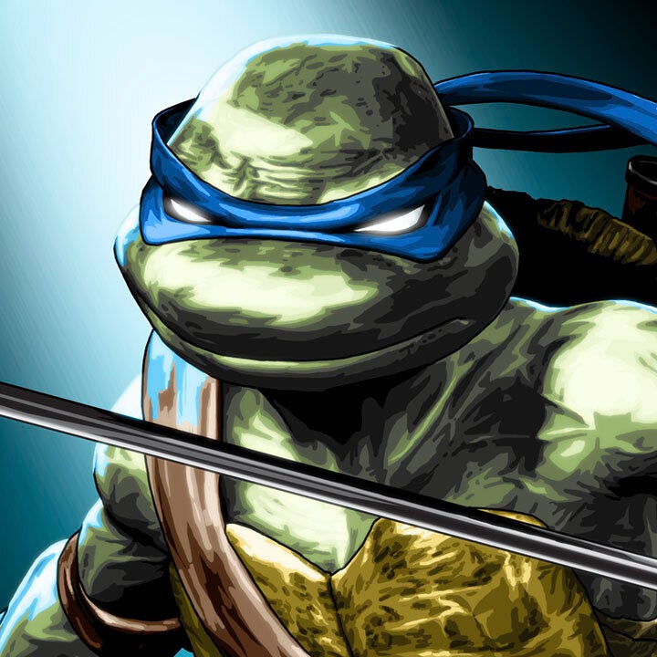 Ninja Turtle Leonardo Art